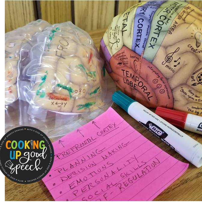 Getting to Know your “Thinking Cap!” Teaching students about their brain